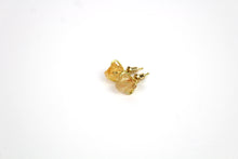 Load image into Gallery viewer, Dainty Raw Crystal Earrings